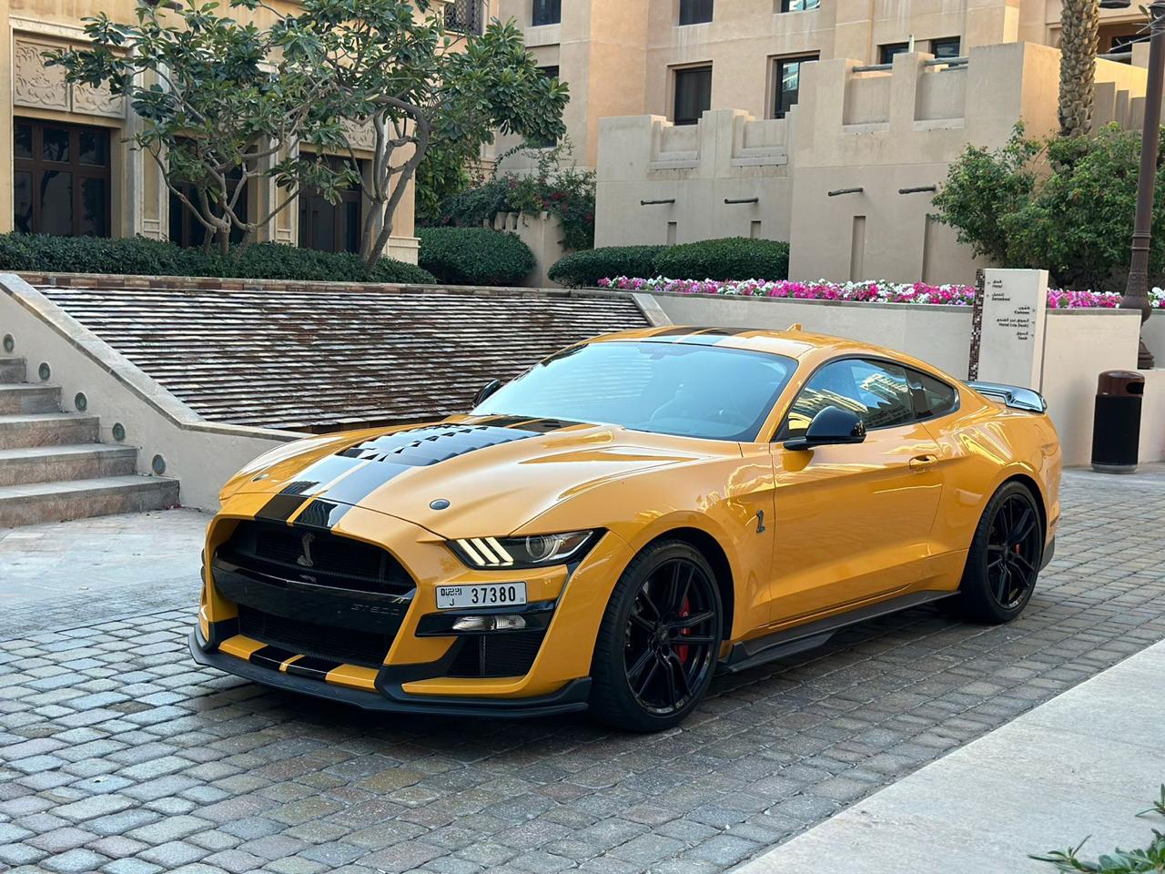 Shelby GT500 Carbon Fiber Edition (Original)