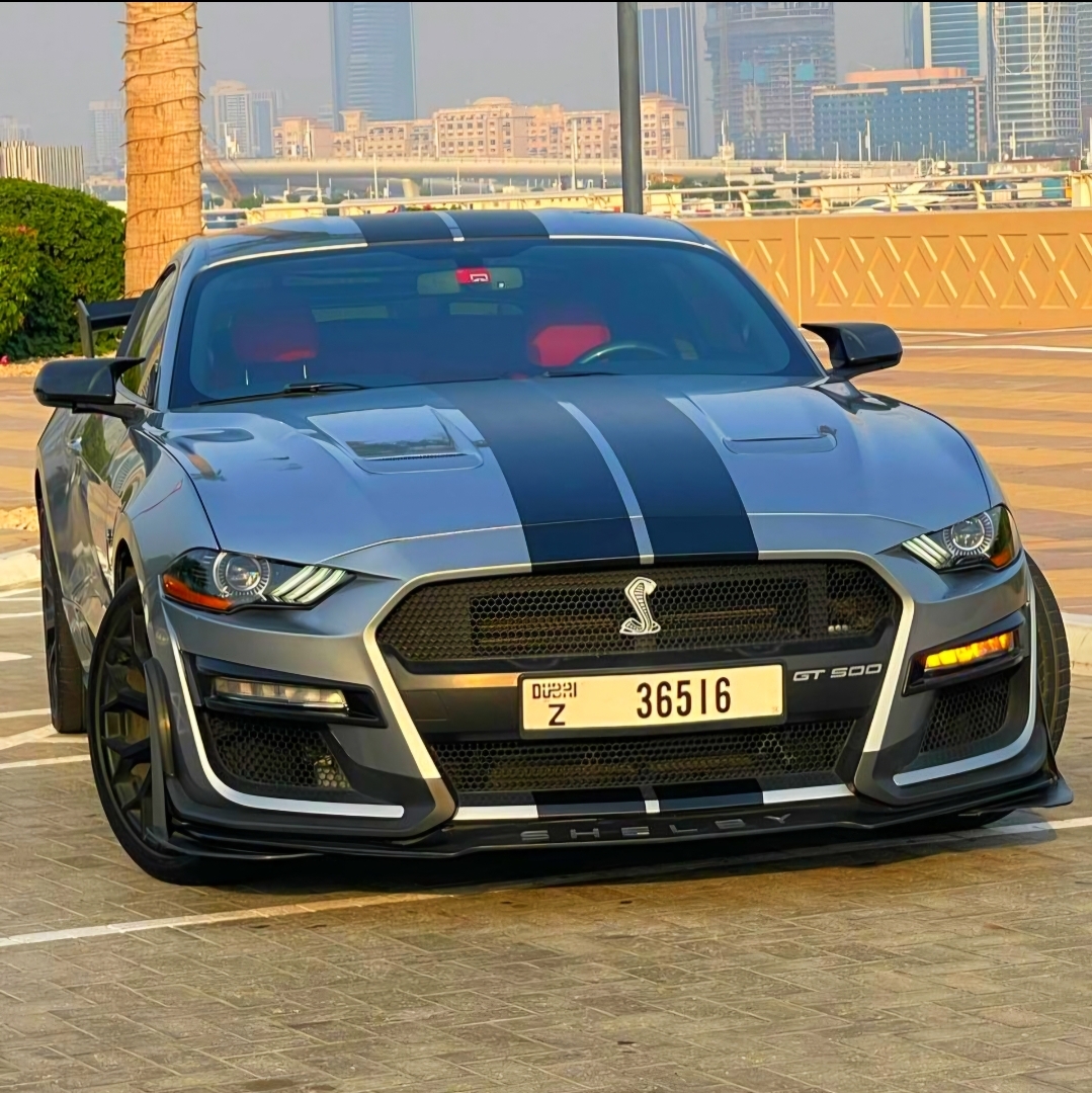 FORD MUSTANG SHELBY GT500