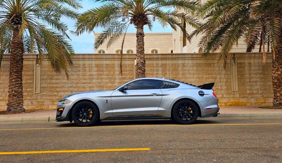 FORD MUSTANG SHELBY GT500