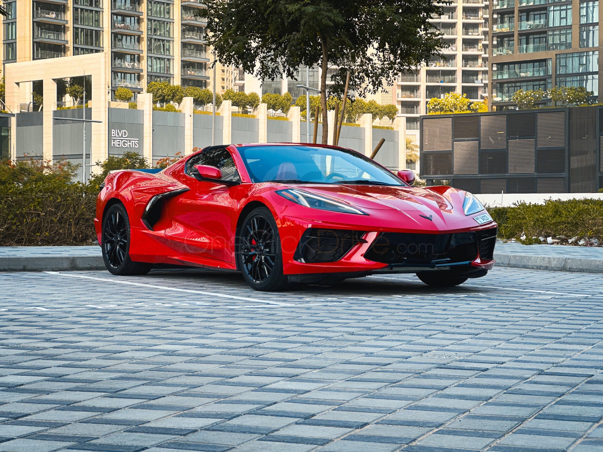 chevrolet corvette c8 V8 2022