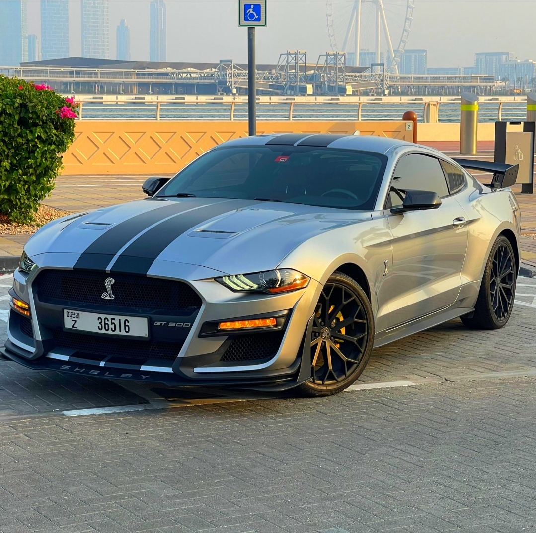 FORD MUSTANG SHELBY GT500