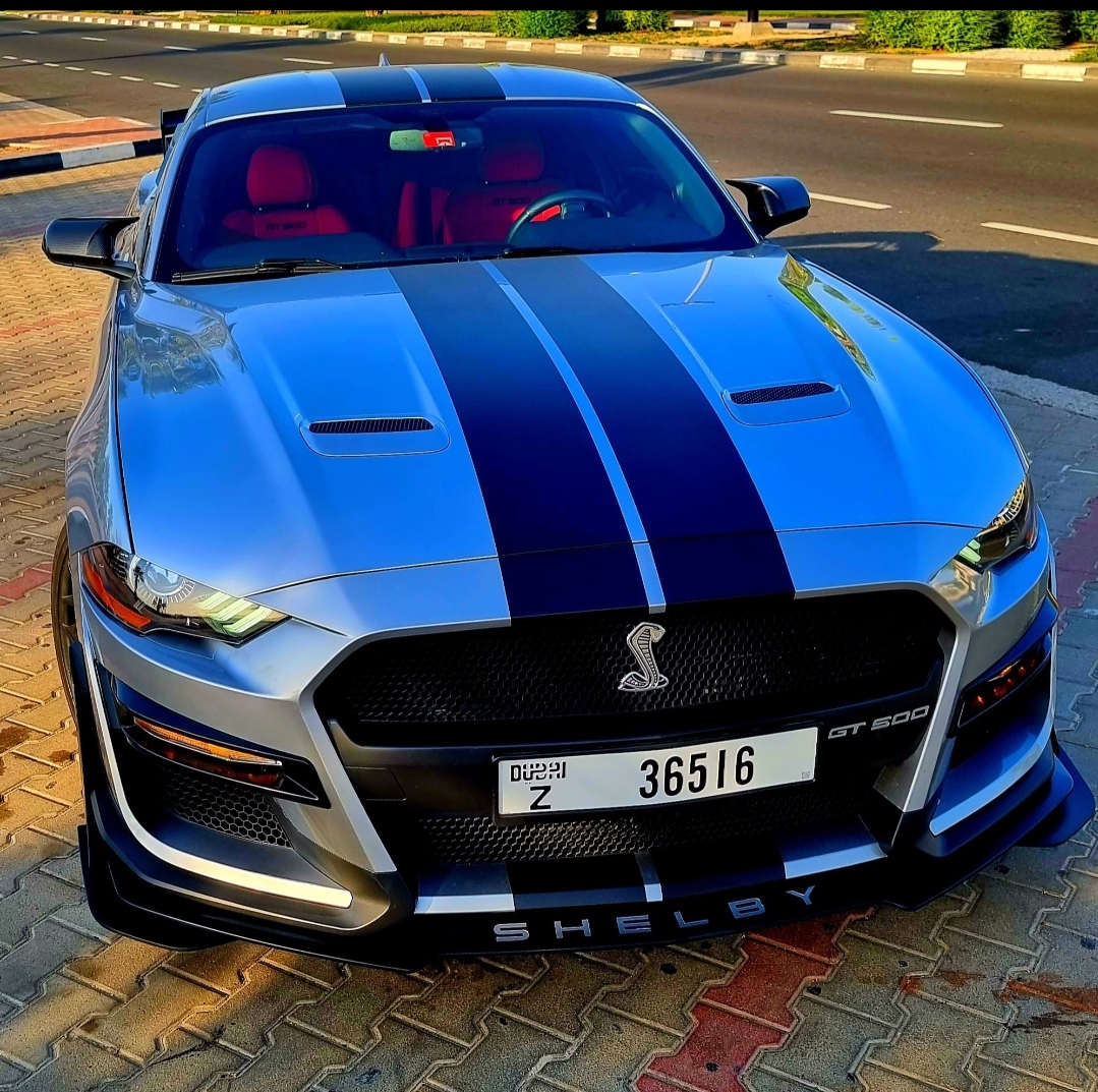 FORD MUSTANG SHELBY GT500