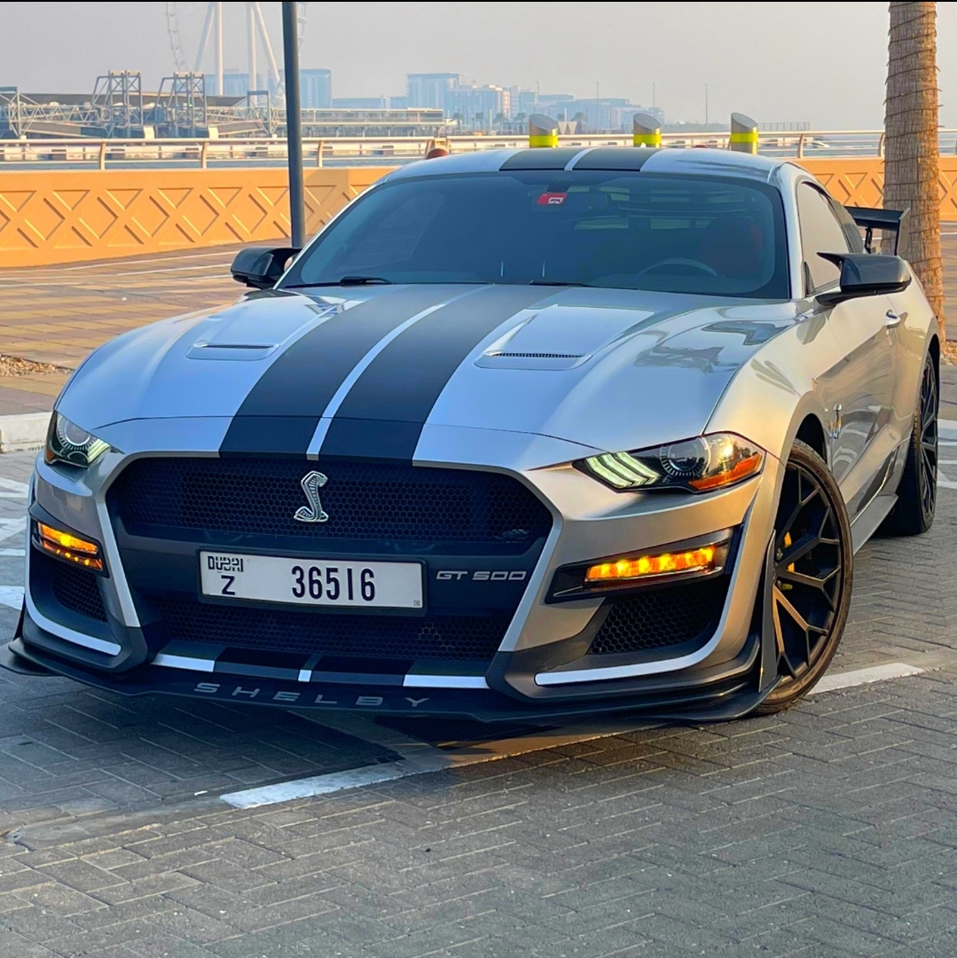 FORD MUSTANG SHELBY GT500