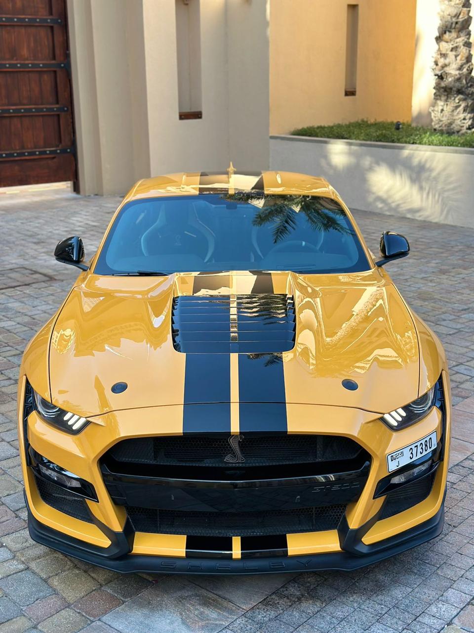 Shelby GT500 Carbon Fiber Edition (Original)