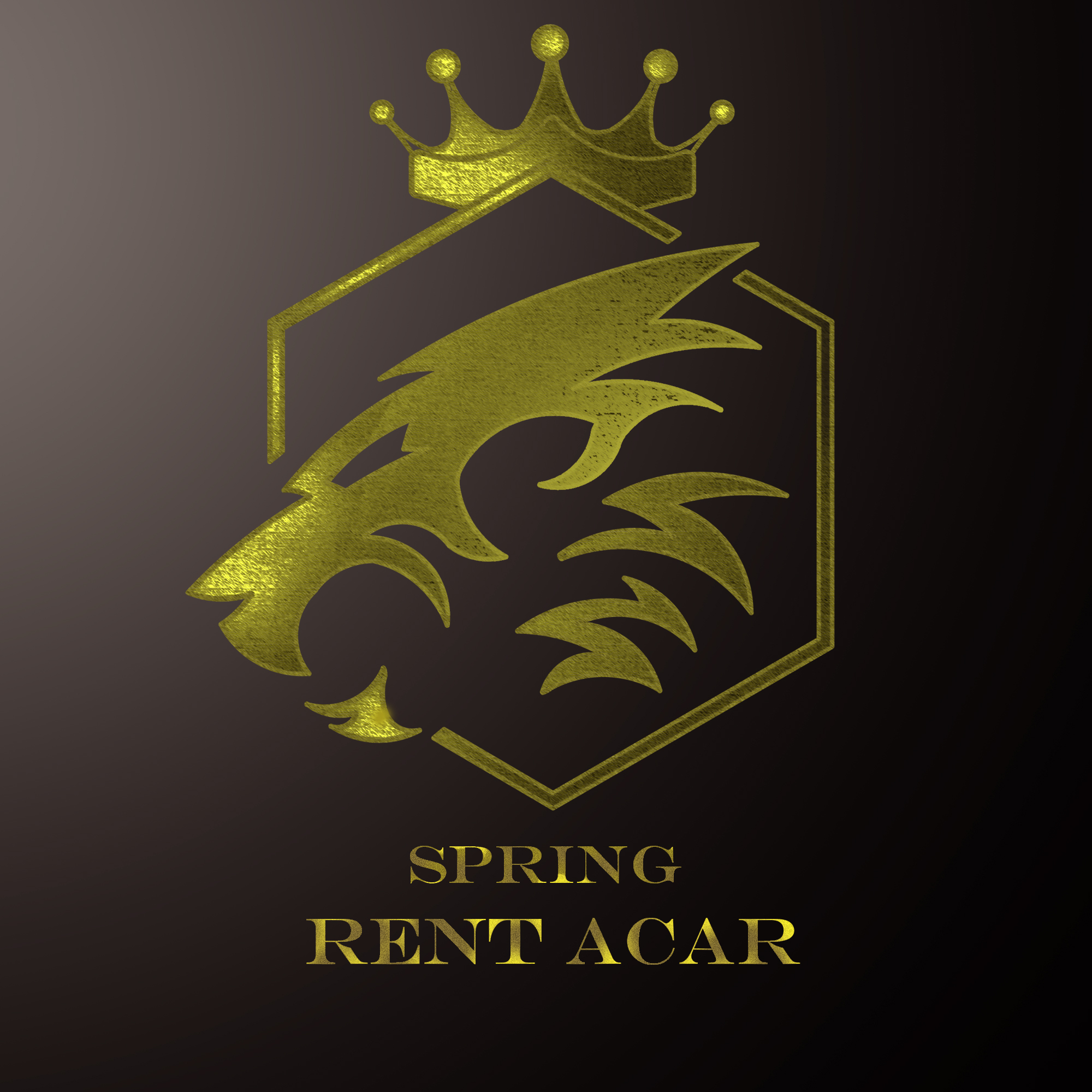 Spring Car Rental987