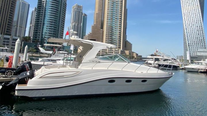 36 ft Mini Yacht Rental