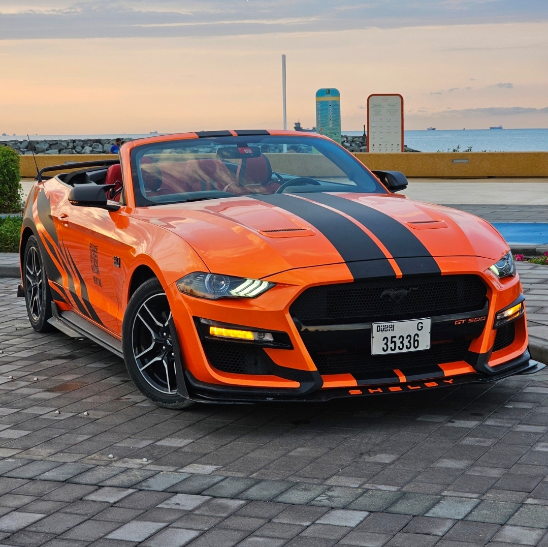 FORD MUSTANG SHELBY PREMIUM CABRIOLET