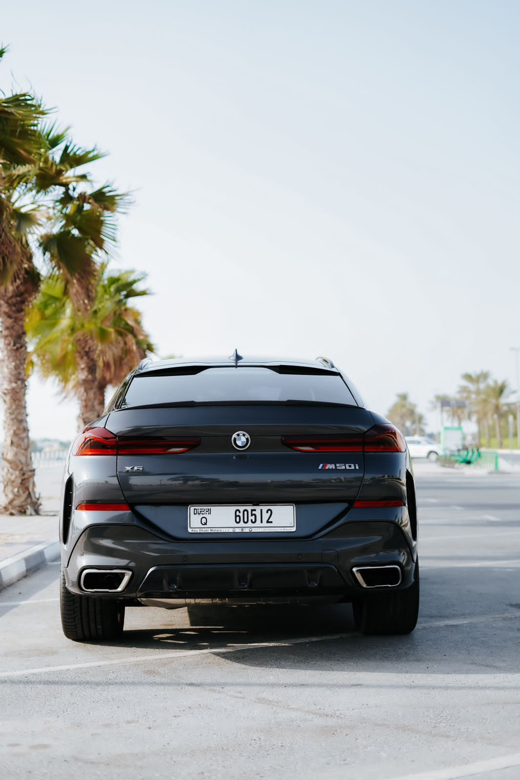 BMW X6 M50 