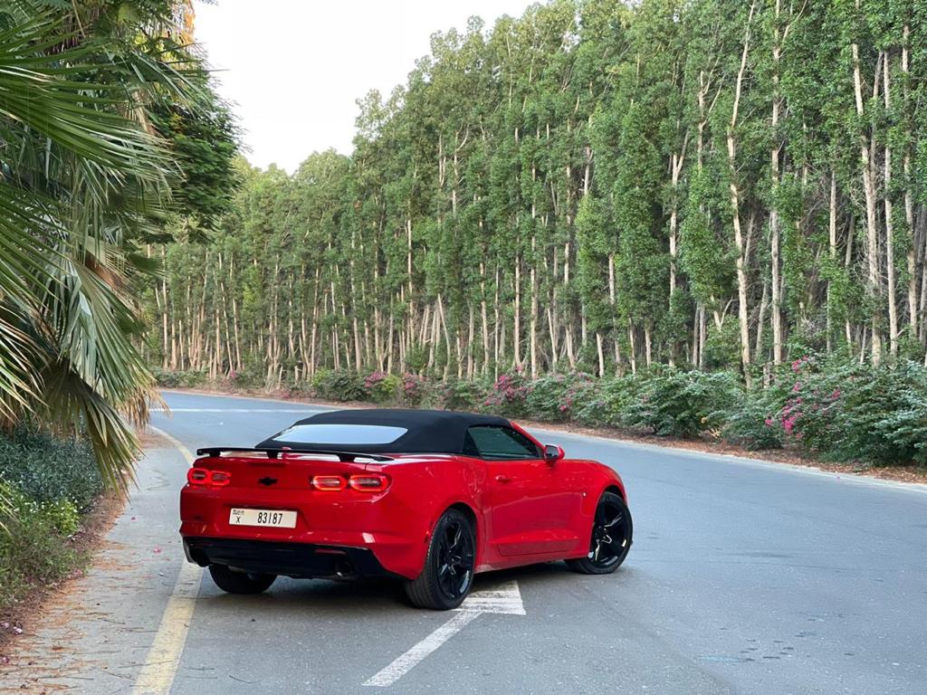 Chevrolet Camaro Convertible 