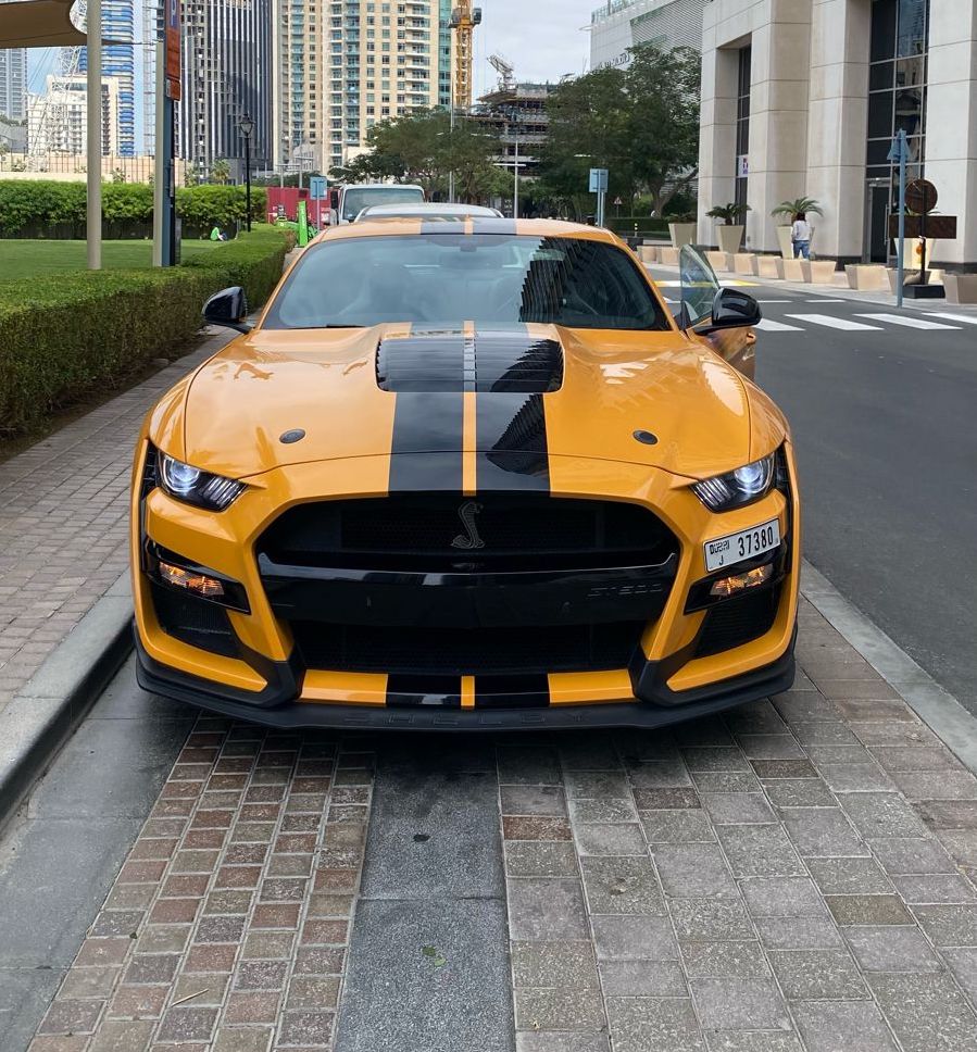 Shelby GT500 Carbon Fiber Edition (Original)