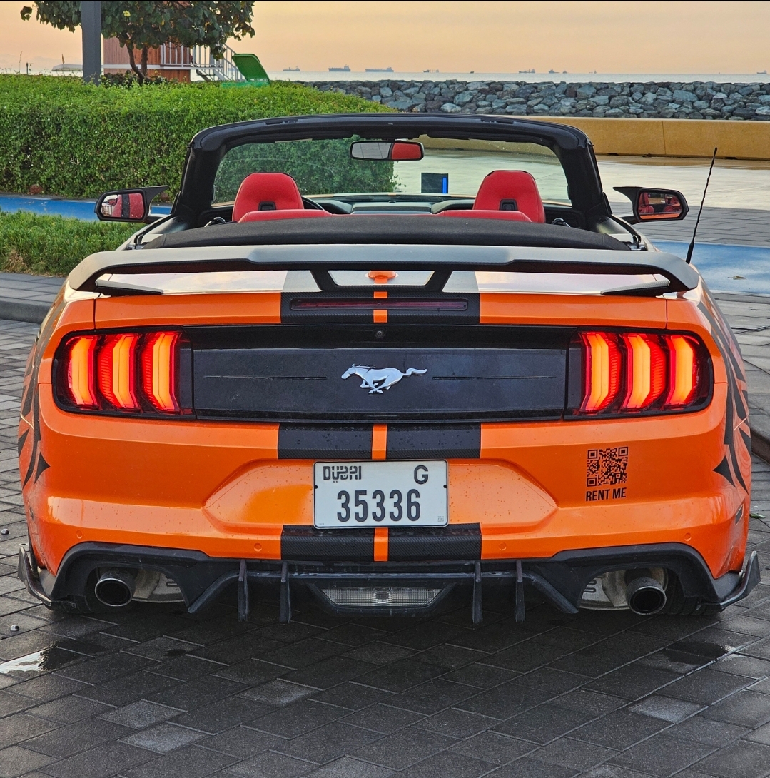 FORD MUSTANG SHELBY PREMIUM CABRIOLET