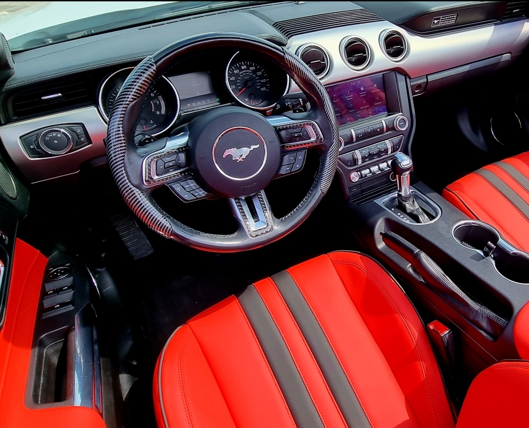 FORD MUSTANG SHELBY PREMIUM CABRIOLET