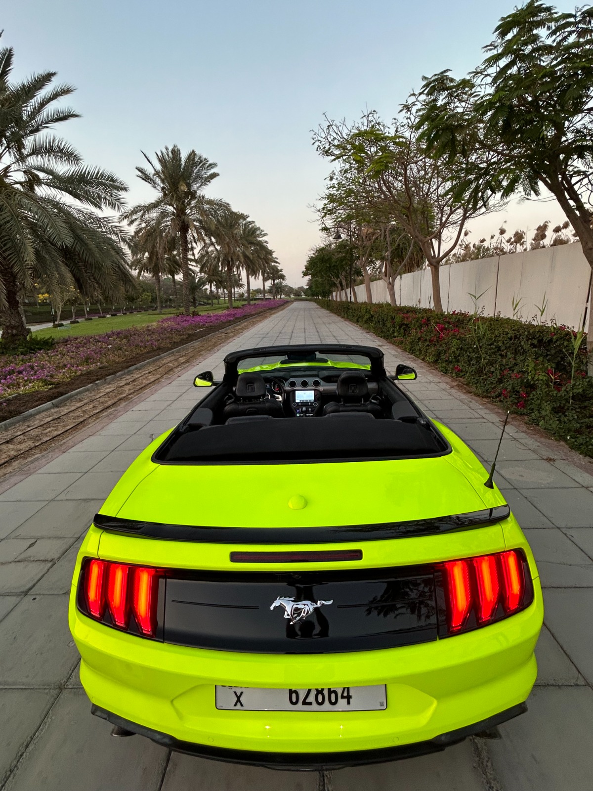 FORD MUSTANG SHELBY KIT - Fluorescent Yellow