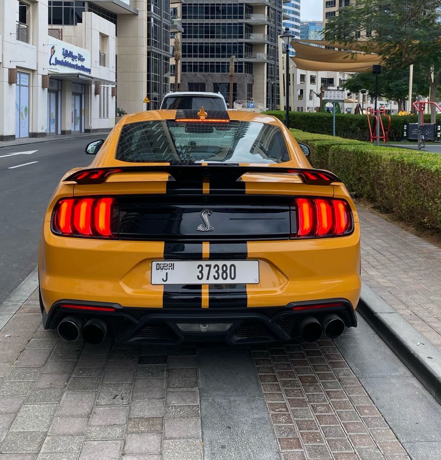 Shelby GT500 Carbon Fiber Edition (Original)