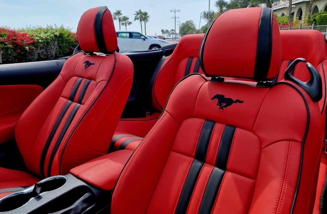 FORD MUSTANG SHELBY PREMIUM CABRIOLET