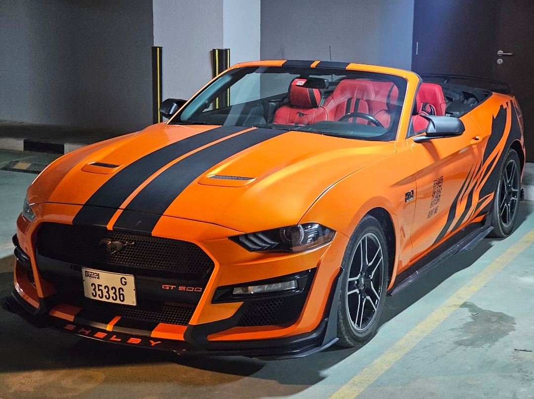 FORD MUSTANG SHELBY PREMIUM CABRIOLET