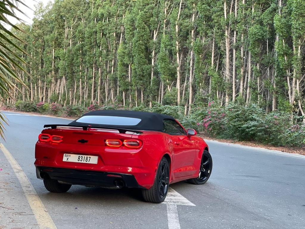 Chevrolet Camaro Convertible 