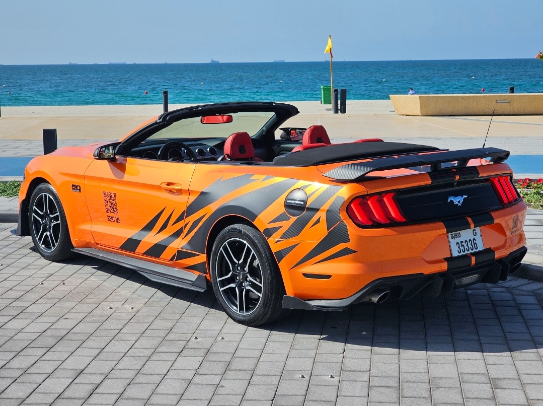 FORD MUSTANG SHELBY PREMIUM CABRIOLET