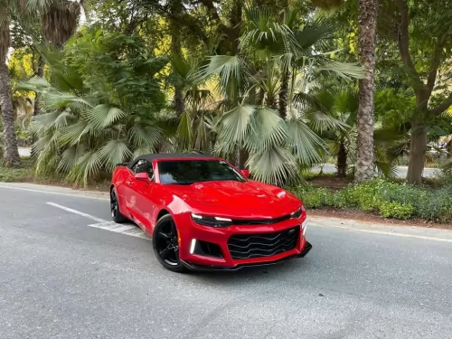 Chevrolet Camaro Convertible 