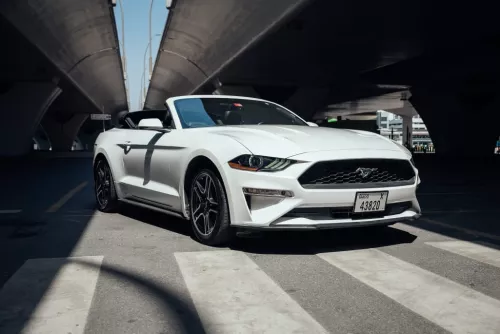 Ford Mustang EcoBoost Convertible V4 2020