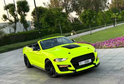 FORD MUSTANG SHELBY KIT - Fluorescent Yellow